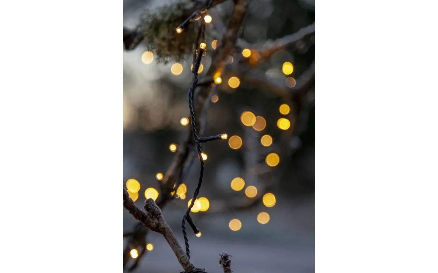 Flashy Ljusslinga 2500K 21m Svart IP44