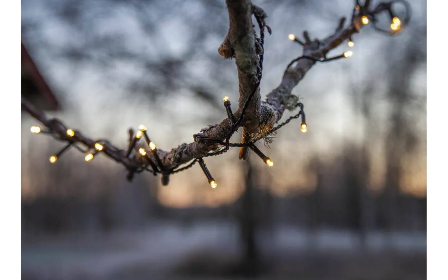 Star Trading Flashy Ljusslinga 2500K 7m Svart IP44* Korta Ljusslingor (1-10M)|Ljusslingor Utomhus