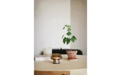 Globen Lighting Fungo Ljushållare Brun* Ljushållare