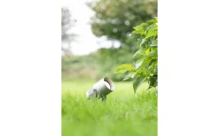 Garden24 Spotlight 6W 3000K Aluminium IP44