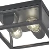 Trio Lighting Garonne Plafond 2xE27 antracit IP44* Taklampor Utomhus