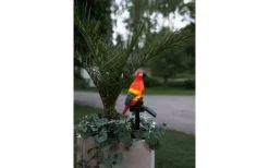 Star Trading Goja Solcellslampa Papegoja LED* Solcellslampor Dekoration|Visa Alla Solcellslampor