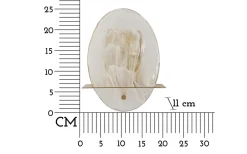 Grazia Vägglampa 25cm Guld