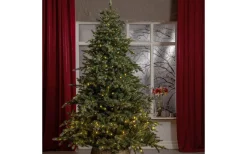 Star Trading Greyland Konstgran 700LED 210cm Grön* Konstgranar Med Led