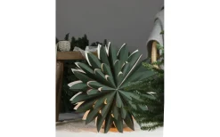 Hyacint Julstjärna 50cm Grön