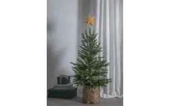 Isa Toppstjärna 33cm Guld