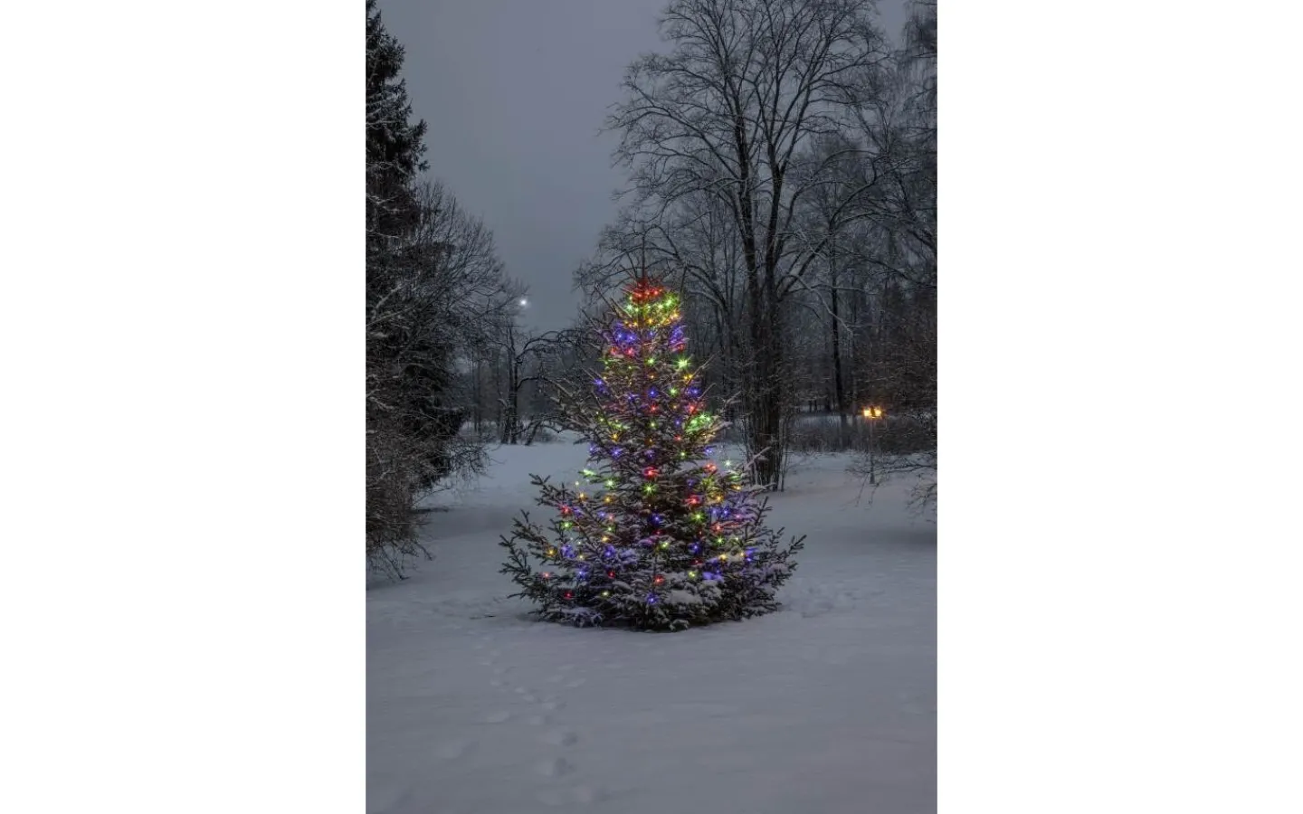 Julgransbelysning<Star Trading Julgransslinga Dew Drop Micro 2m Multifärgad 160LED IP44