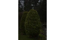 Långa Ljusslingor (11-20M)|Clusterslingor<Konstsmide Julgryning Clusterslinga 13,18m 600L Pastellfärger LED IP44