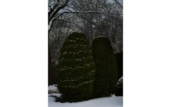 Korta Ljusslingor (1-10M)|Clusterslingor<Konstsmide Julgryning Clusterslinga 8,78m 400L Pastellfärger LED IP44