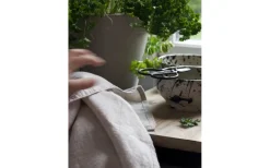 Svanefors Julie Kökshandduk Lin/Vit 50x70cm* Kökshanddukar