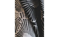 Takskärmar<PR Home Juni Takskärm 40cm Svart AWARE