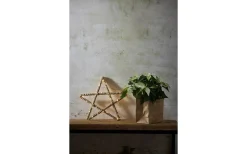 Visa Alla Julstjärnor|Julstjärnor Med Sladd<Star Trading Jutta Batteridriven Stjärna