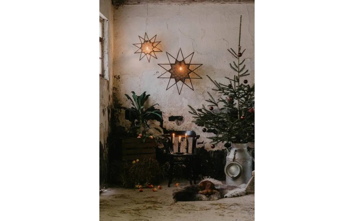 Visa Alla Julstjärnor|Julstjärnor Med Sladd<Globen Lighting Karin Julstjärna 70cm Brun