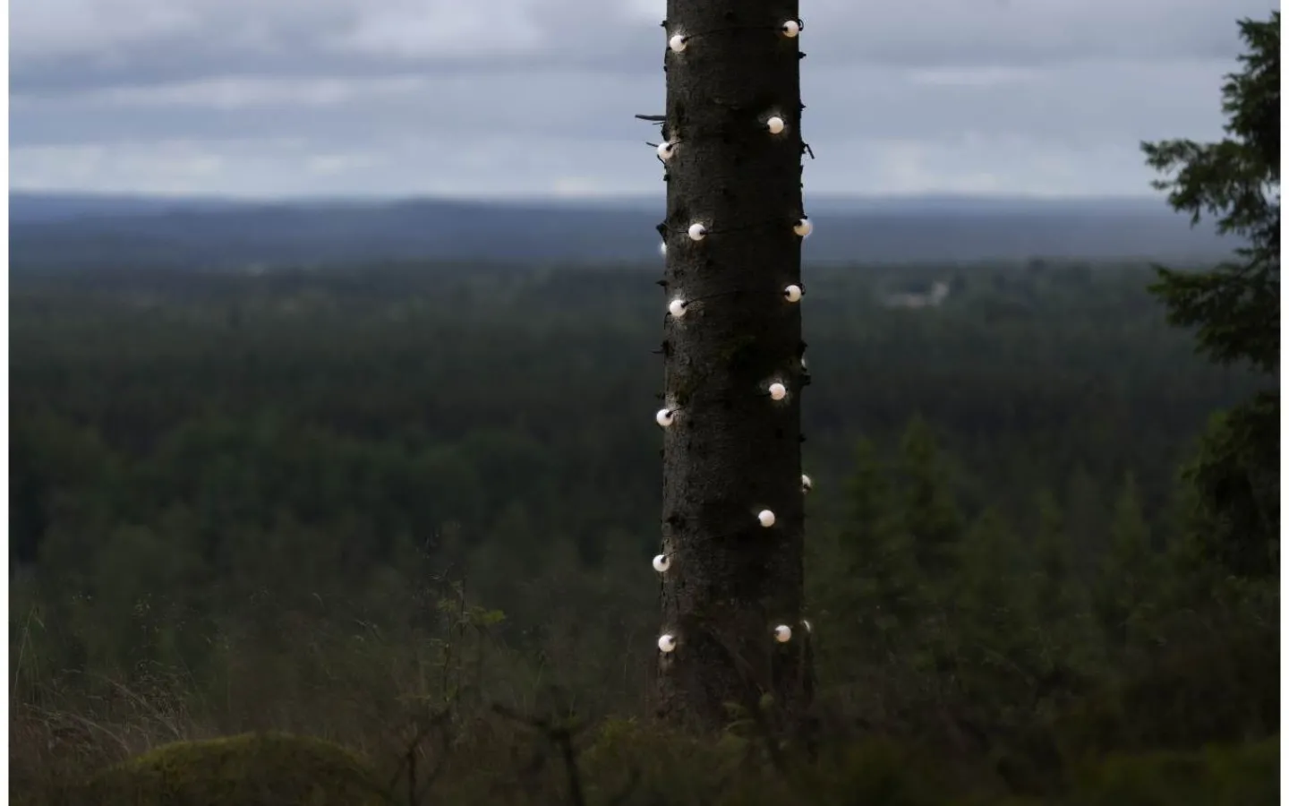 Konstsmide Kristallglans Ljusslinga 9,57m 30L Varmvit LED IP44* Ljusslingor Utomhus|Partyslingor Utomhus 230V