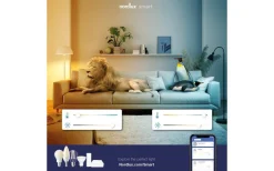 Nordlux Smart Light|Gu10<Nordlux LED GU10 Smart Light 2200-6500K 420lm 4,8W 2-pack