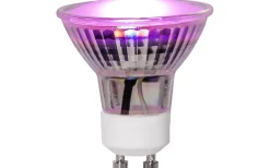 LED GU10 Växtlampa Trivas 110° 50lm 3,5W