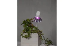 LED GU10 Växtlampa Trivas 110° 50lm 3,5W