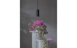 LED GU10 Växtlampa Trivas 110° 50lm 3,5W