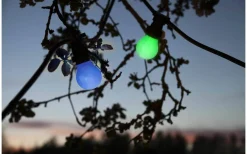 Star Trading LED-lampa Normal, Okrossbar B22 Grön 0,9W* B22