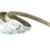 LED-strip 5m 12V DC RGBW IP65