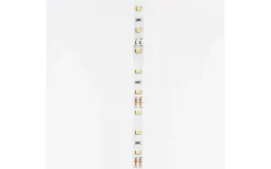 Hall & Trappa|12V Led Slinga<Rendl LEDstrip 12V 5m 3000K 12w/m IP20