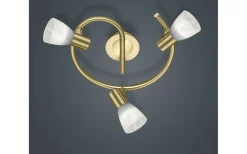 Runda Takspotlights|Takspot Med 3 Lampor<Trio Lighting Levisto Spotlight 3-delad E14 matt mässing rund