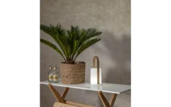 Star Trading Lisa Uppladdningsbar Ljuslykta 26cm RGB+W IP44* Ljuslyktor|Uppladdningsbara Lampor Utomhus