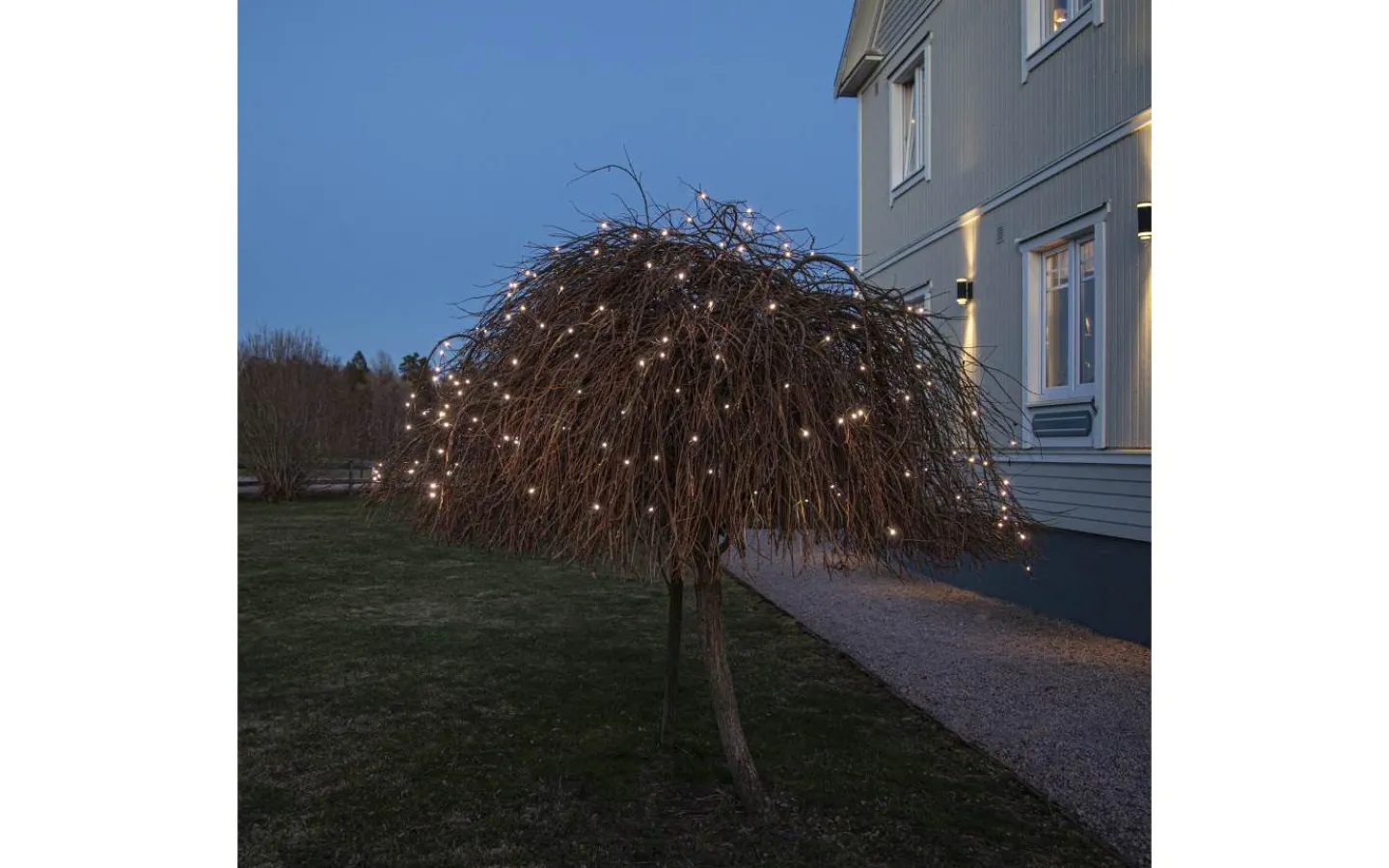 Ljusnät|Crispy Ice White Ljusslingor (3000K)<Star Trading Ljusnät Crispy Ice White 3x3m 200LED IP44