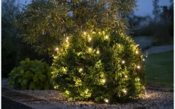 Ljusnät|Ljusslingor Utomhus<Star Trading Ljusnät Crispy Ice White 3x3m 200LED IP44