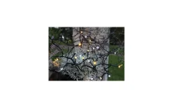 Korta Ljusslingor (1-10M)|Ljusslingor Utomhus<Star Trading Ljusslinga Serie LED Varmvit och Kallvit 8m 80LED IP44