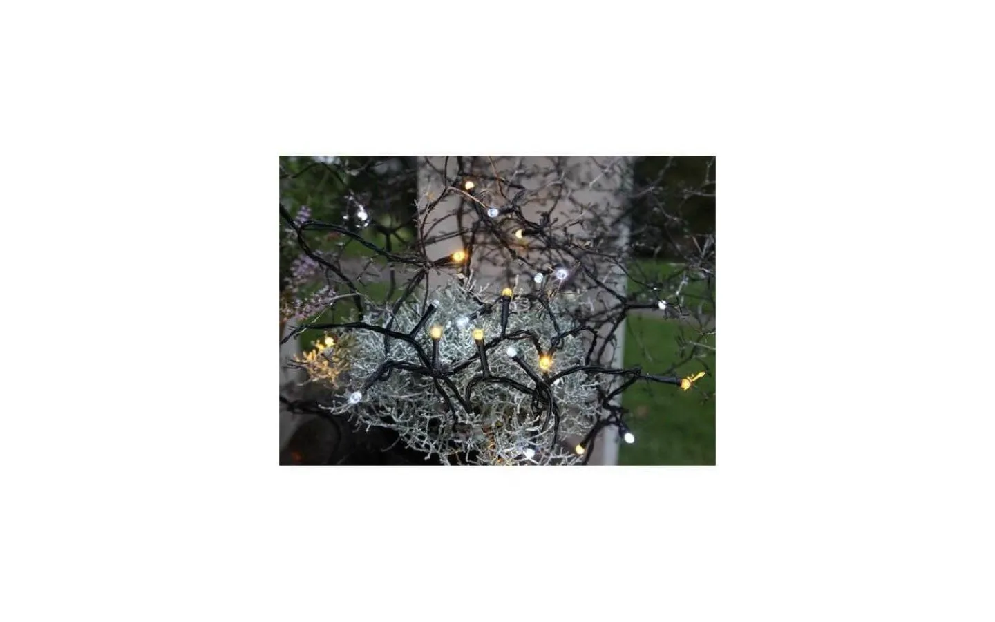 Korta Ljusslingor (1-10M)|Ljusslingor Utomhus<Star Trading Ljusslinga Serie LED Varmvit och Kallvit 8m 80LED IP44