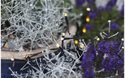 System Decor Startrading<Star Trading Ljusslinga System Decor 10m Varmvit Svart Kabel