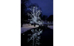 Ljusslinga System LED 5m Kallvit Svart Kabel