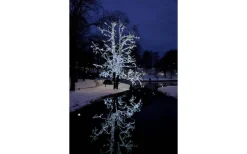 Star Trading Ljusslinga System LED 3m Kallvit Svart Kabel* System Led Startrading