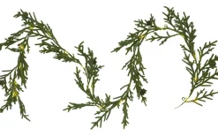 Star Trading Lummer Batteridriven Girlang LED 180cm Grön* Girlanger|Batteri Julpynt Inomhus