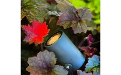 Lightson Garden Plug & Play<Lightson Luna Markspotlight Mörkgrå LED 3000K 350lm 5W