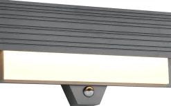 Vägglampor Utomhus<Trio Lighting Mariza Vägglampa LED antracitgrå rörelsesensor IP44