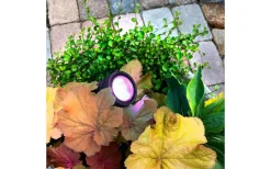 Markspotlight Arcus Svart LED RGB 9W Bluetooth Lightson