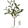 Star Trading Mistel Dekorationskvist Grön* Batteri Julpynt Inomhus