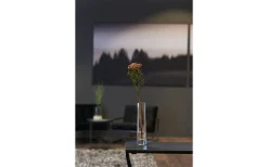 Vaser & Blomkrukor<Leonardo Novara Solifleur Vas 24cm Klar