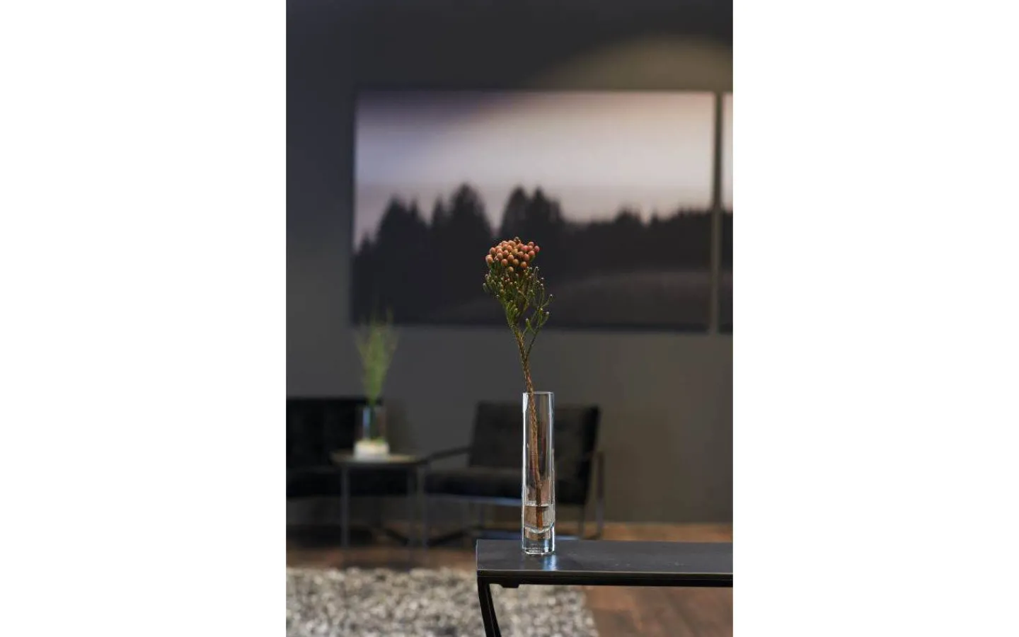 Vaser & Blomkrukor<Leonardo Novara Solifleur Vas 24cm Klar