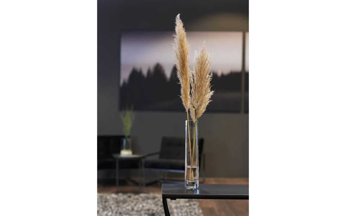 Vaser & Blomkrukor<Leonardo Novara Solifleur Vas 30cm Klar