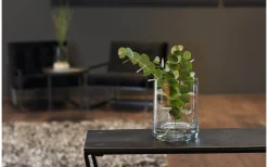 Vaser & Blomkrukor<Leonardo Novara Vas 19cm Klar