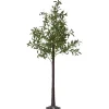 Star Trading Olivec Dekorationsträd 180cm Grön IP44* Dekorationsträd