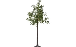 Star Trading Olivec Dekorationsträd 180cm Grön IP44* Dekorationsträd