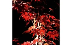 Lightson Garden Plug & Play<Lightson Optica LED 3000K 90lm 1W