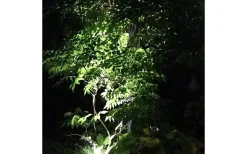 Lightson Garden Plug & Play<Lightson Optica LED 3000K 90lm 1W