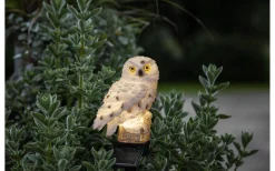 Owl Solcellslampa 33cm Beige