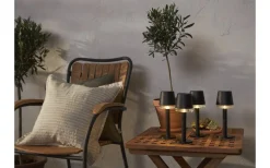 Parvus Solcellsdriven Bordslampa 21cm Svart