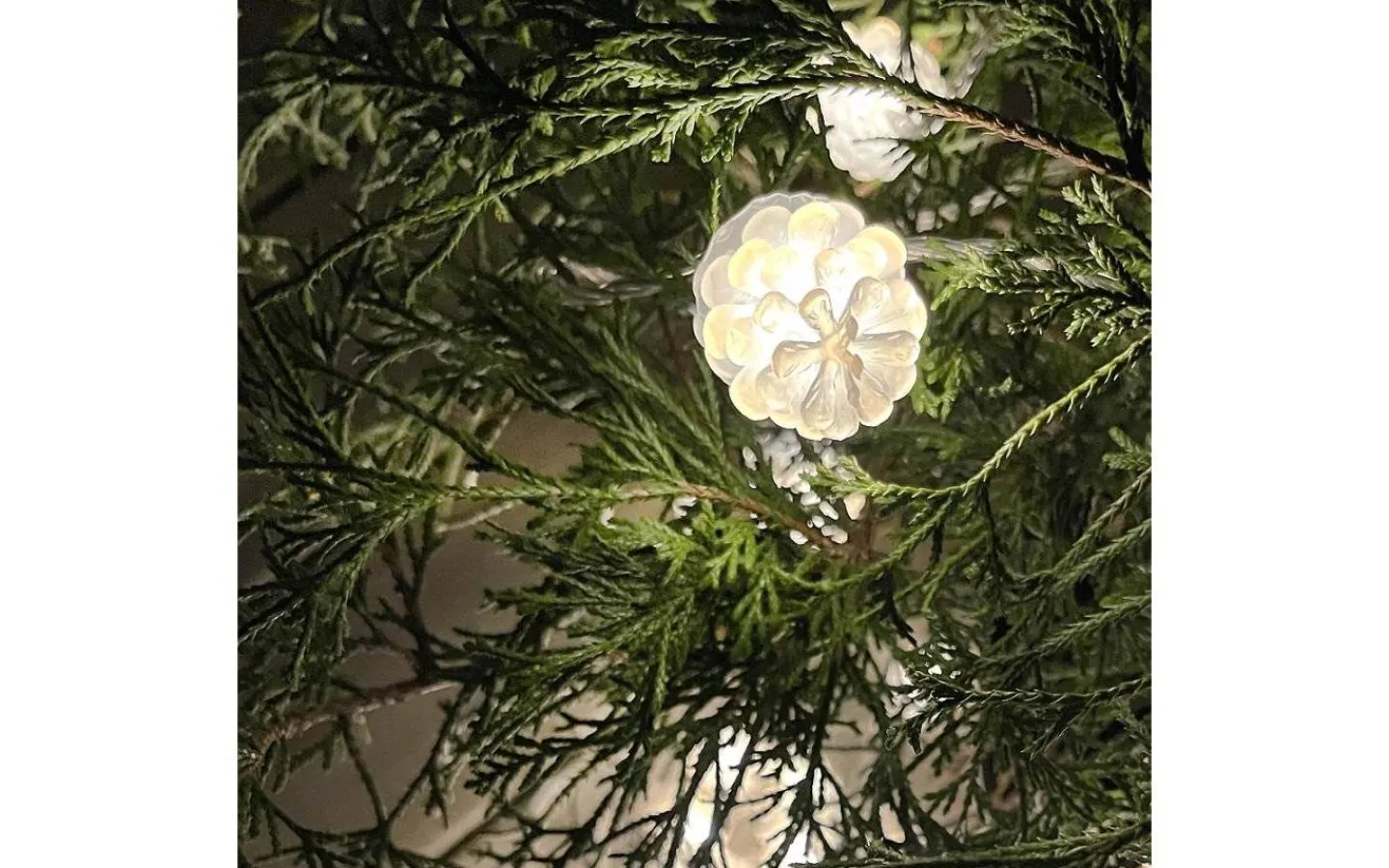 Lightson Garden Plug & Play<Lightson Pine Ljusslinga med kottar 10m LED